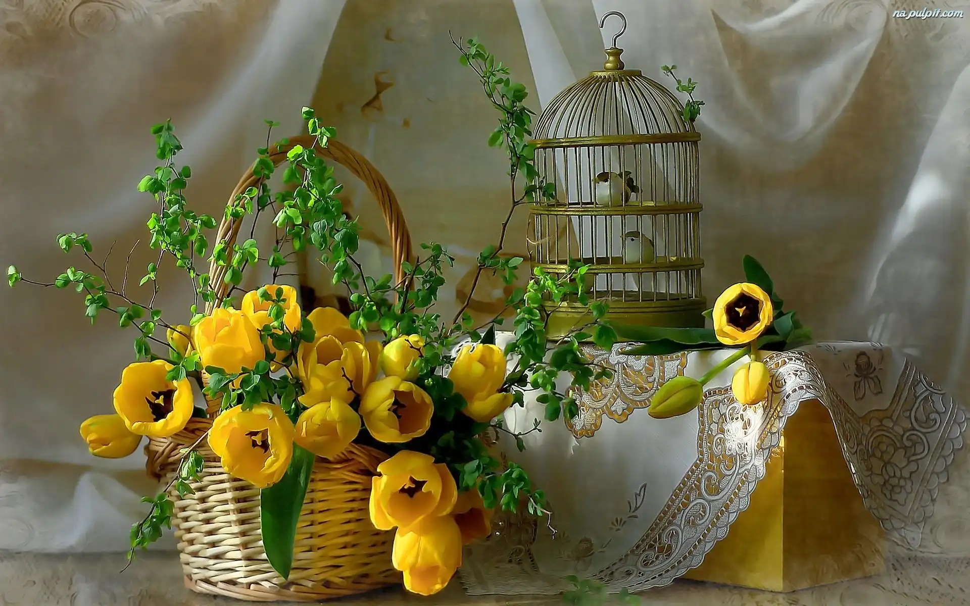 http://www.tapeta-ptaki-kosz-olte-tulipany-klatka.na-pulpit.com/zdjecia/ptaki-kosz-olte-tulipany-klatka.jpeg